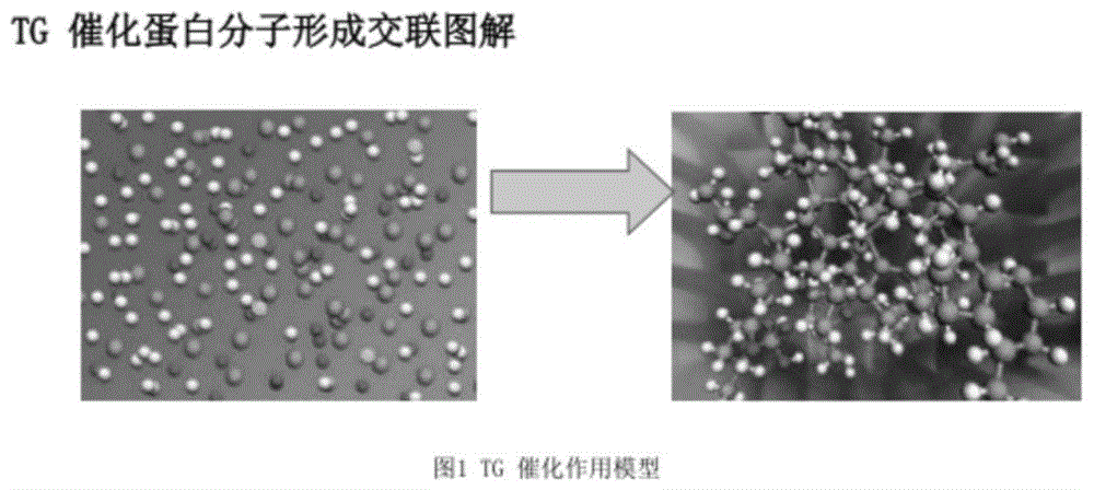 一种高纤鸡蛋干及其制备方法与流程