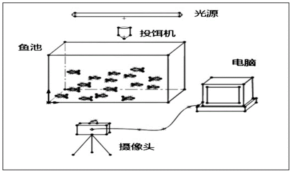 视觉面积精准喂食方法与流程