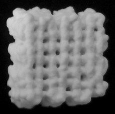 一种3D打印聚乙烯醇/磷酸钙载药骨修复支架的制备及其产品和应用的制作方法
