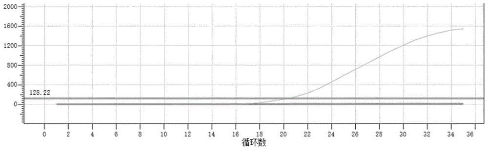 一种用于鉴定草鱼出血热病毒的引物及探针以及检测方法与流程