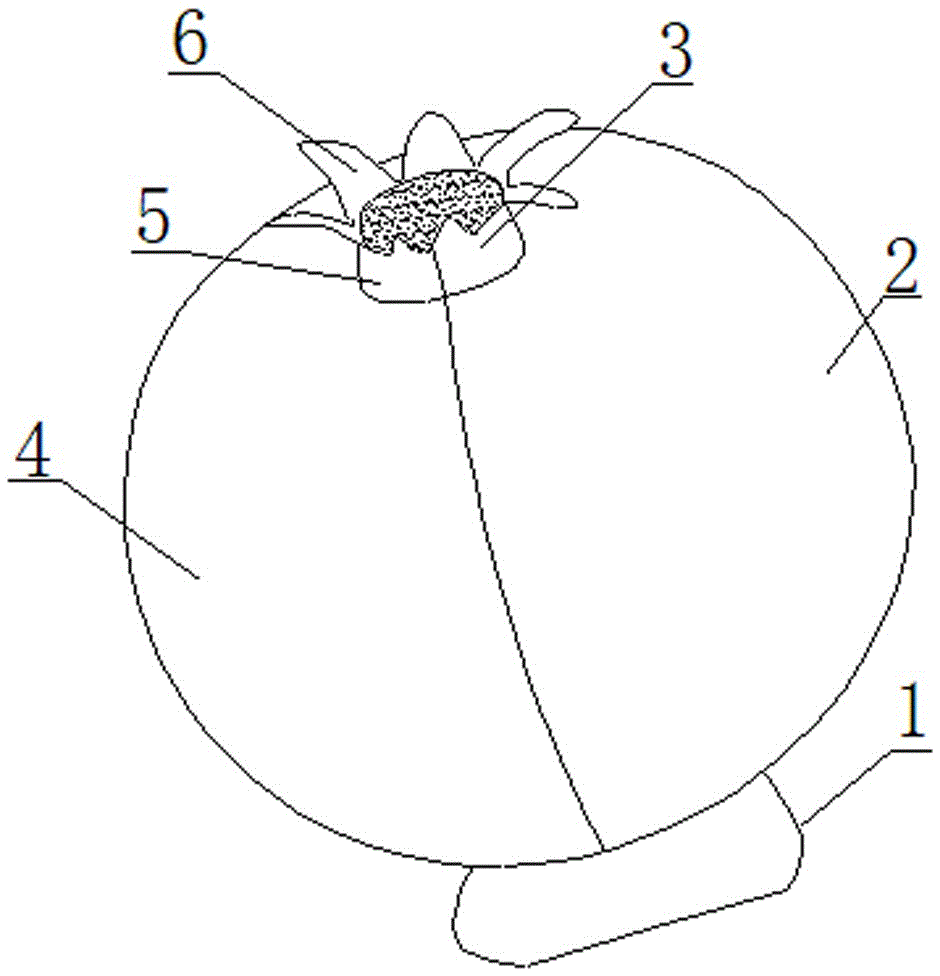 一种石榴形状的玩具的制作方法