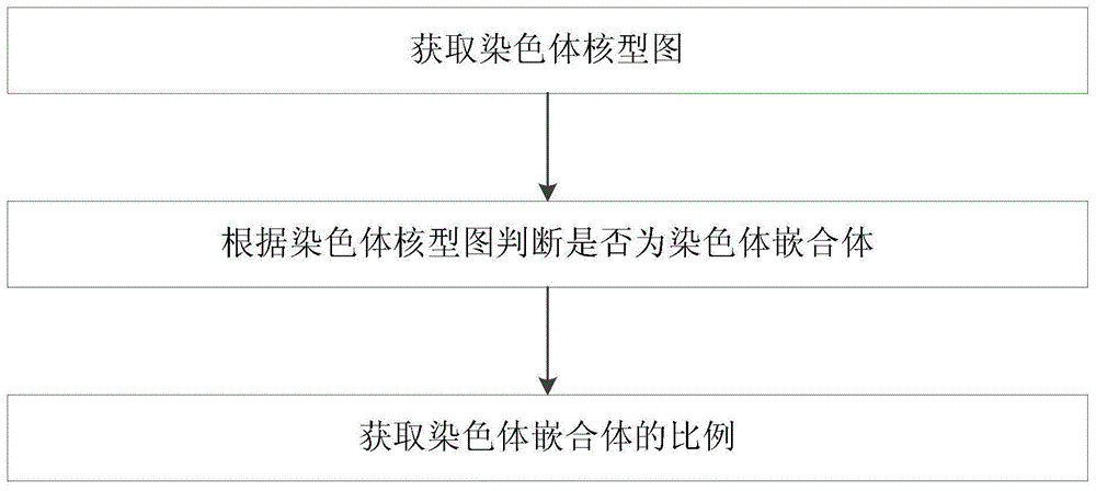 染色体嵌合体识别判断方法、系统及染色体核型分析方法与流程