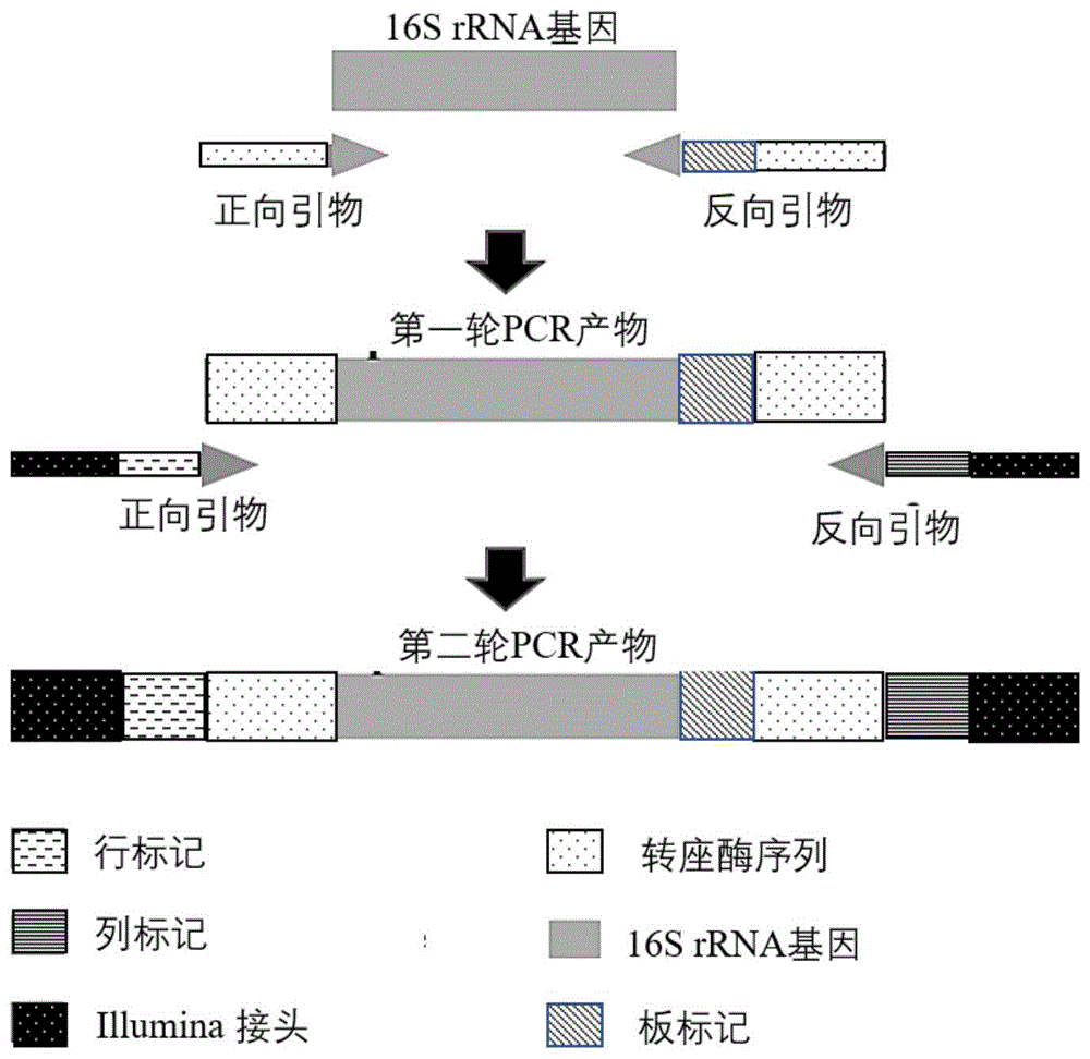 一种从环境中分离有益微生物的方法与流程