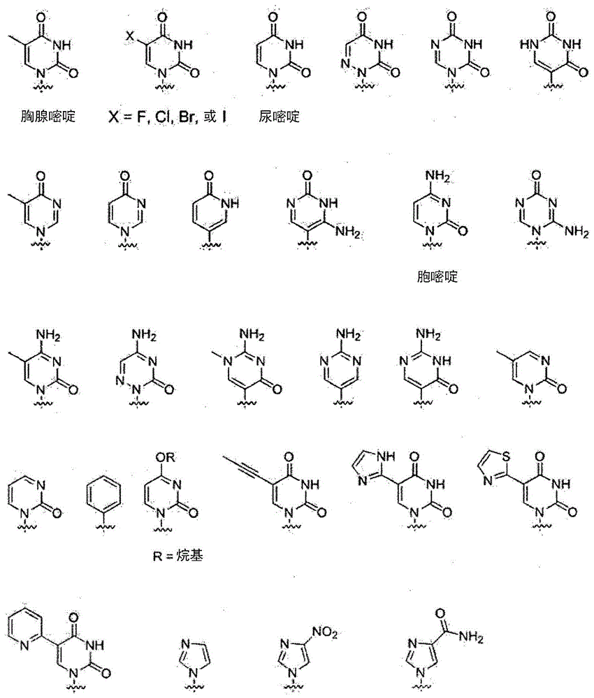 基质金属蛋白酶-1反义寡核苷酸的制作方法