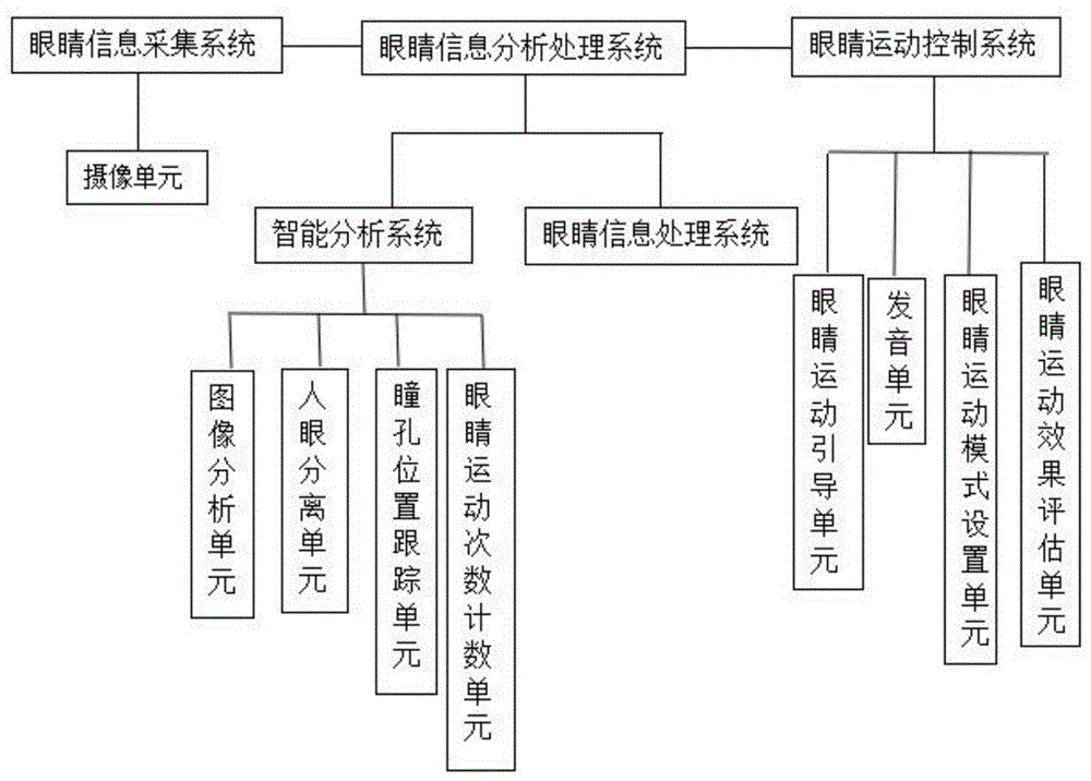 一种辅助转眼运动的方法及系统与流程