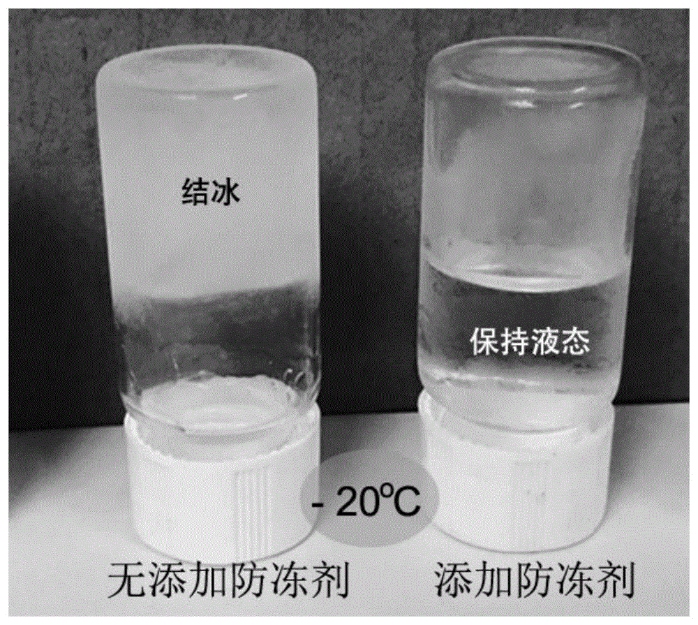 一种锌-聚合物水系可充电电池的正极材料及其耐低温电解液的制备方法与流程