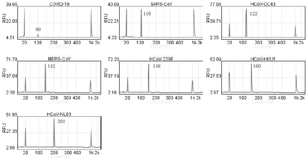 基于毛细管电泳的同时检测七种人冠状病毒的引物组及其应用的制作方法
