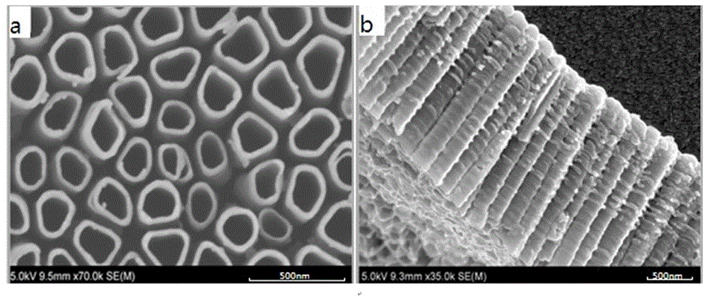 一种具有TiN纳米管中间层的IrO2纳米涂层阳极的制作方法