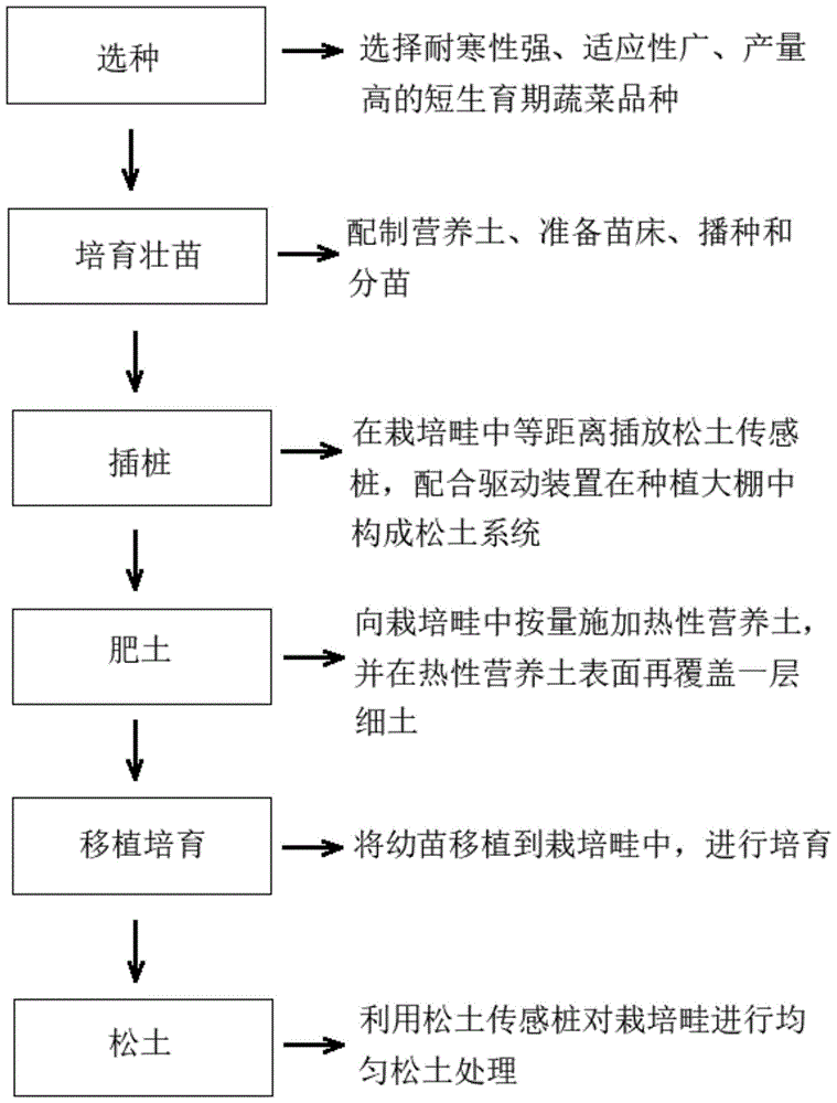 一种基于农业大棚的反季节蔬菜种植方法与流程