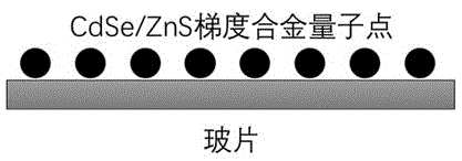 一种基于单量子点测量共聚焦显微镜探测效率的方法与流程