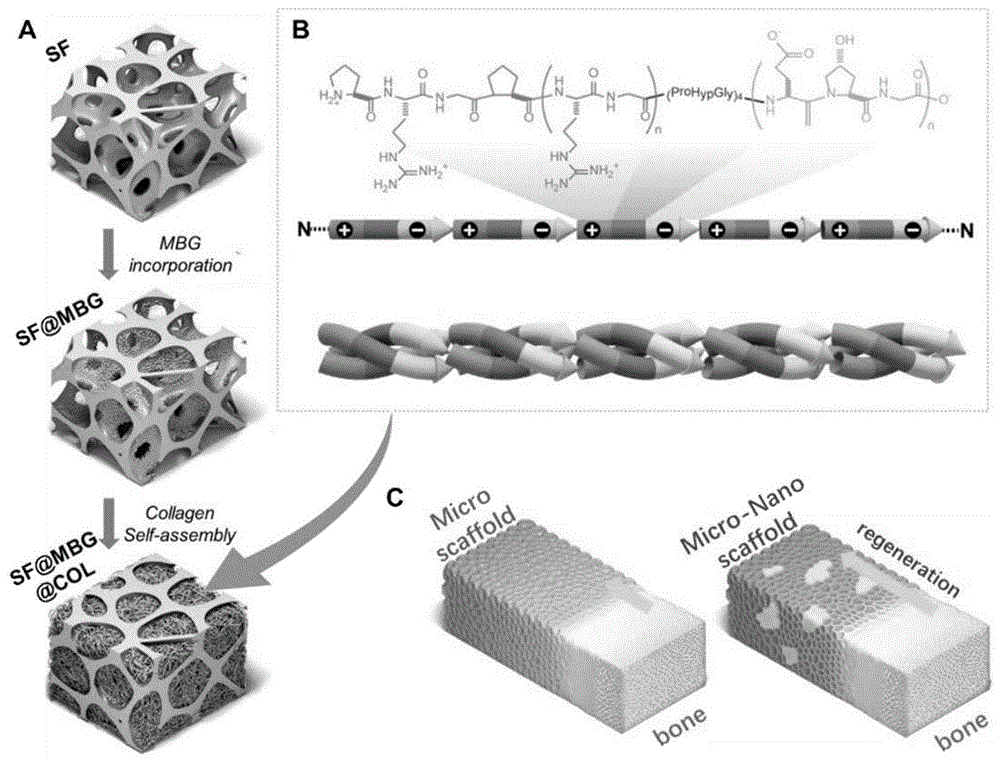 一种微纳米等级结构仿生支架及其制备方法与流程