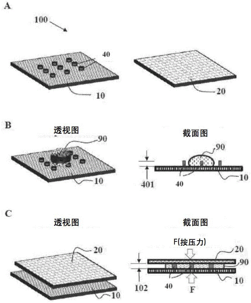 核酸杂交检测的制作方法