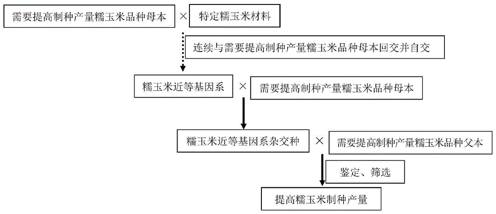 一种提高糯玉米制种产量的方法与流程