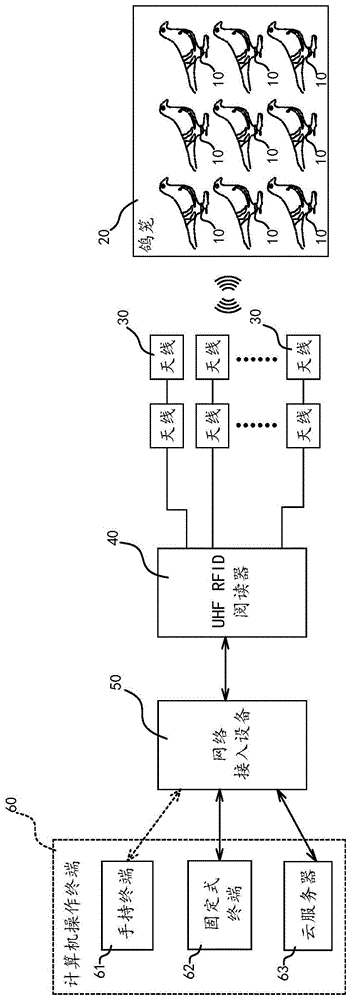 新型快速集鸽系统及采用该集鸽系统的集鸽方法与流程