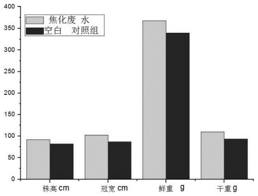 一种利用焦化废水再生绿色能源的方法与流程