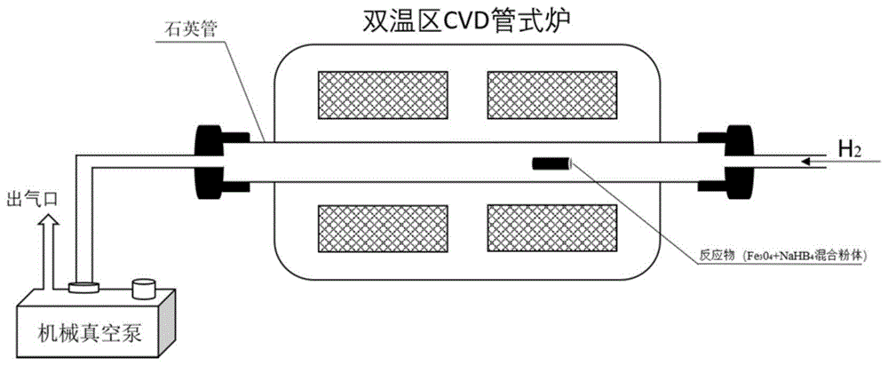 一种硼中子俘获治疗试剂及其制备方法和应用与流程