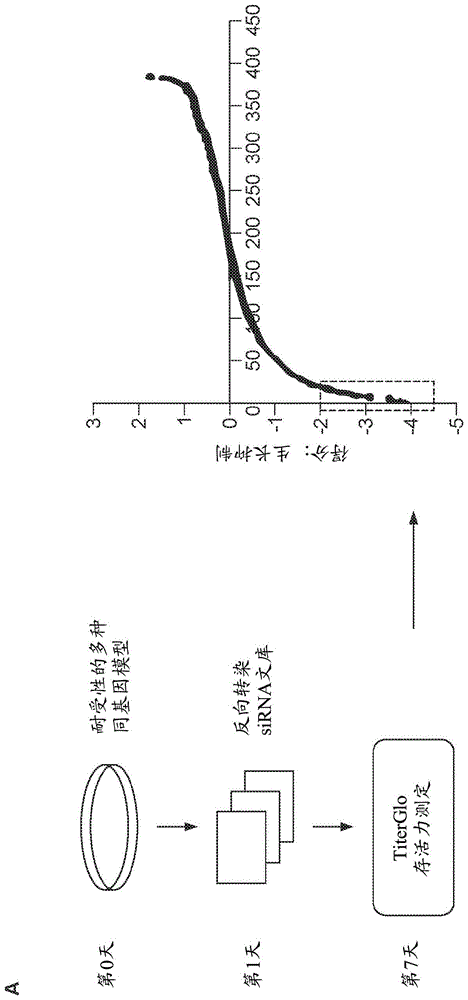 方法和医疗用途与流程