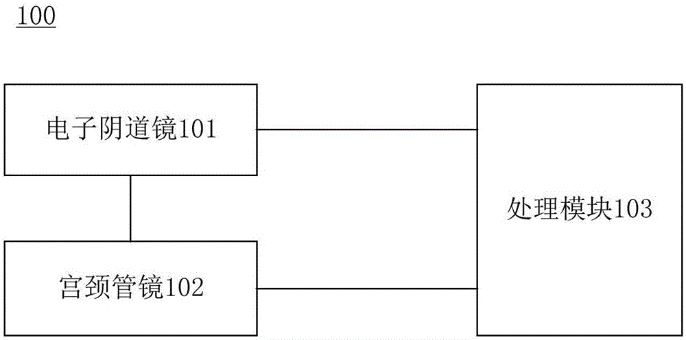 宫颈管镜和电子阴道镜集成系统和方法与流程