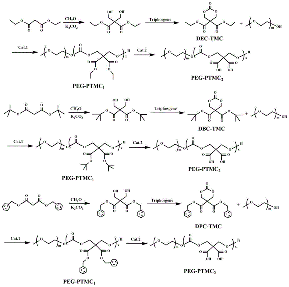 一种两亲性聚三亚甲基碳酸酯及其制备方法和应用与流程