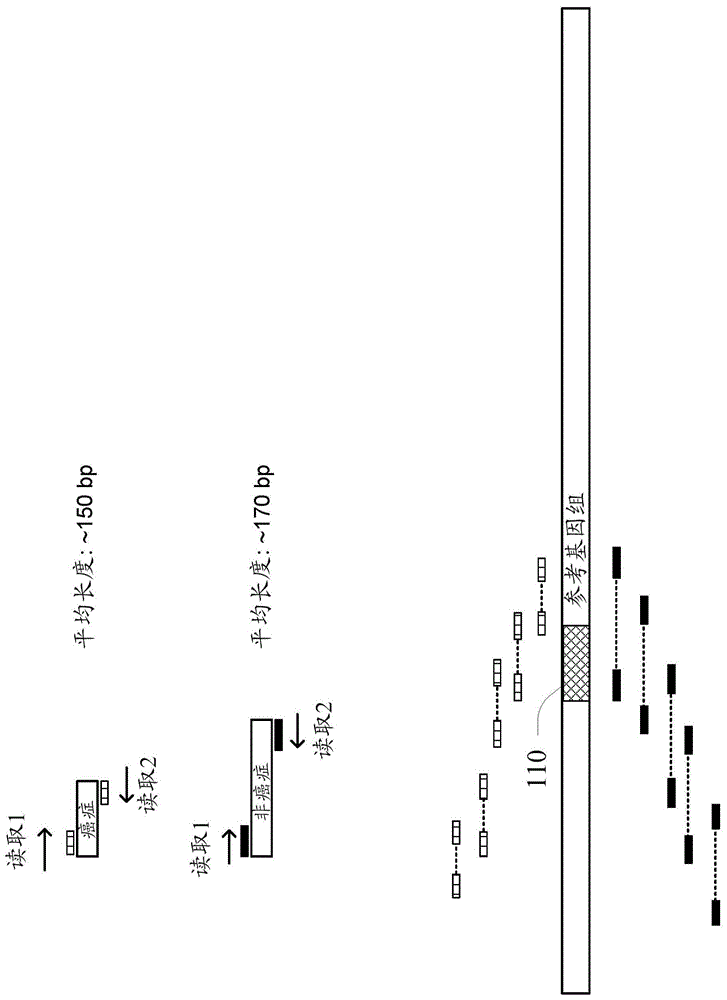 使用无细胞DNA片段大小检测肿瘤相关变体的制作方法