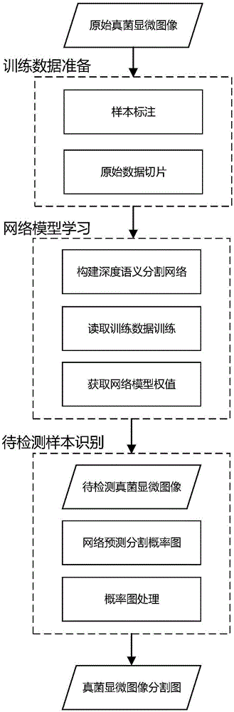 基于深度语义分割的真菌显微图像分割检测方法及系统与流程