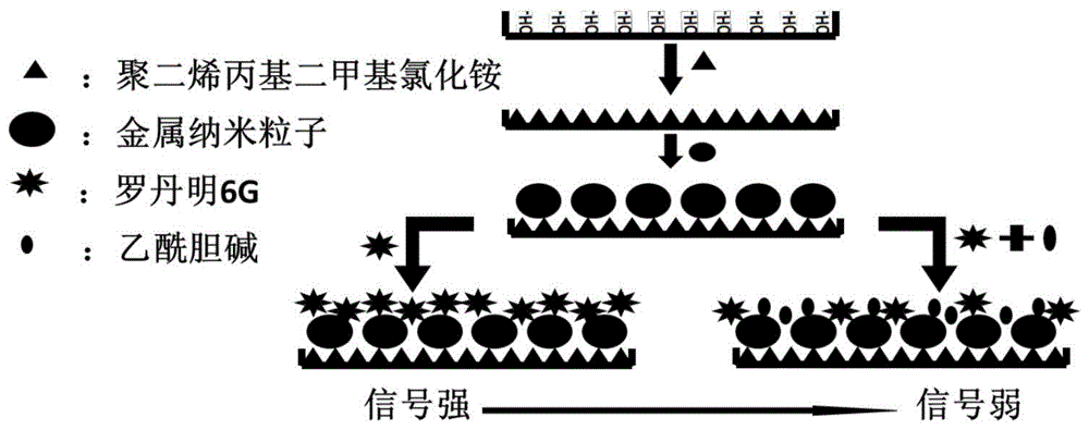 一种基于表面增强拉曼光谱的乙酰胆碱检测方法与流程