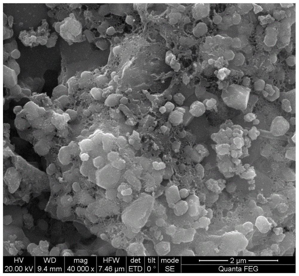 Mg/Fe氧化物修饰的生物炭纳米复合材料及其制备方法与流程