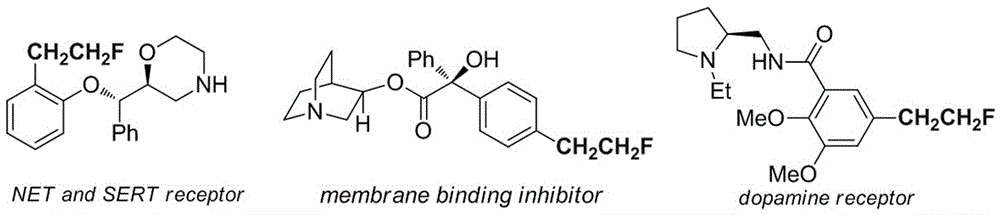 一种通过还原偶联制备单氟烷基取代芳香化合物的方法与流程
