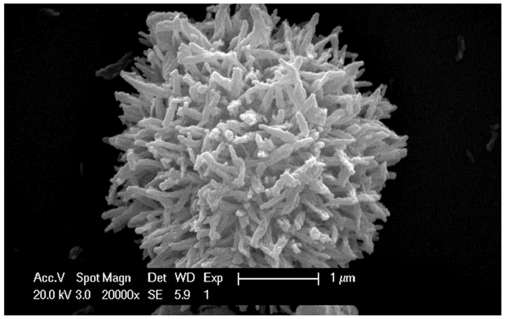 具有花状纳米结构的二氧化钛光催化剂及其制备方法与应用与流程