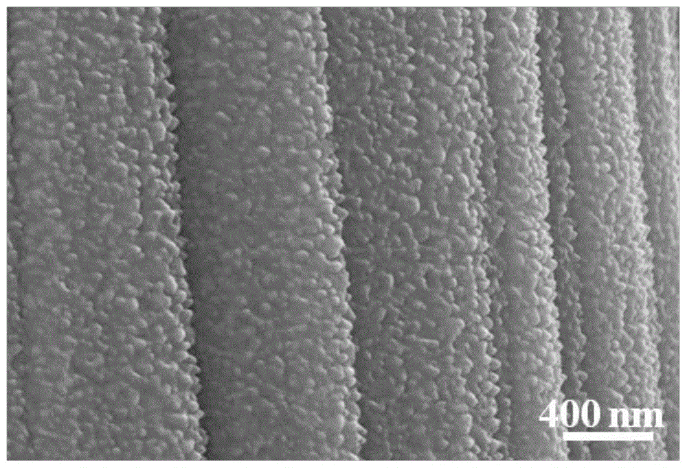 ZnO纳米棒/碳纤维的制备方法及其在光电降解有机染料中的应用与流程
