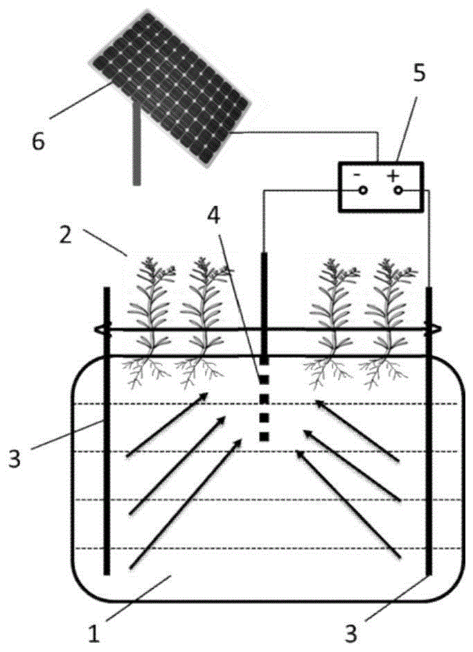 硫素-二维电场-植物联合修复镉污染土壤的方法和结构与流程