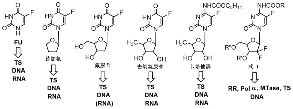 多靶标的核苷衍生物的制作方法