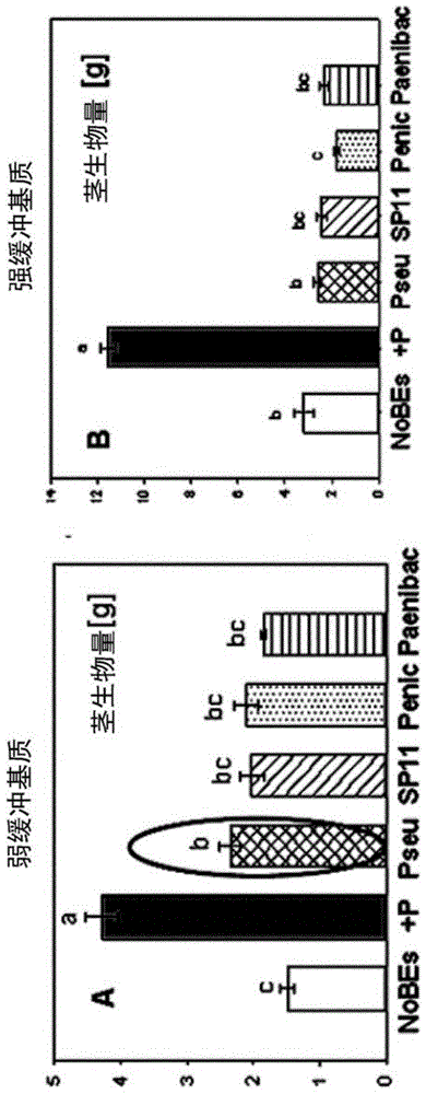 改善植物养分获取的方法和组合物与流程