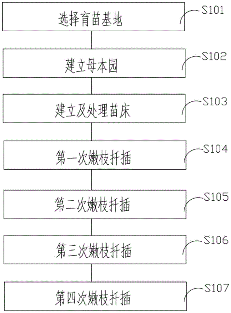 设施内葡萄嫩枝扦插方法与流程