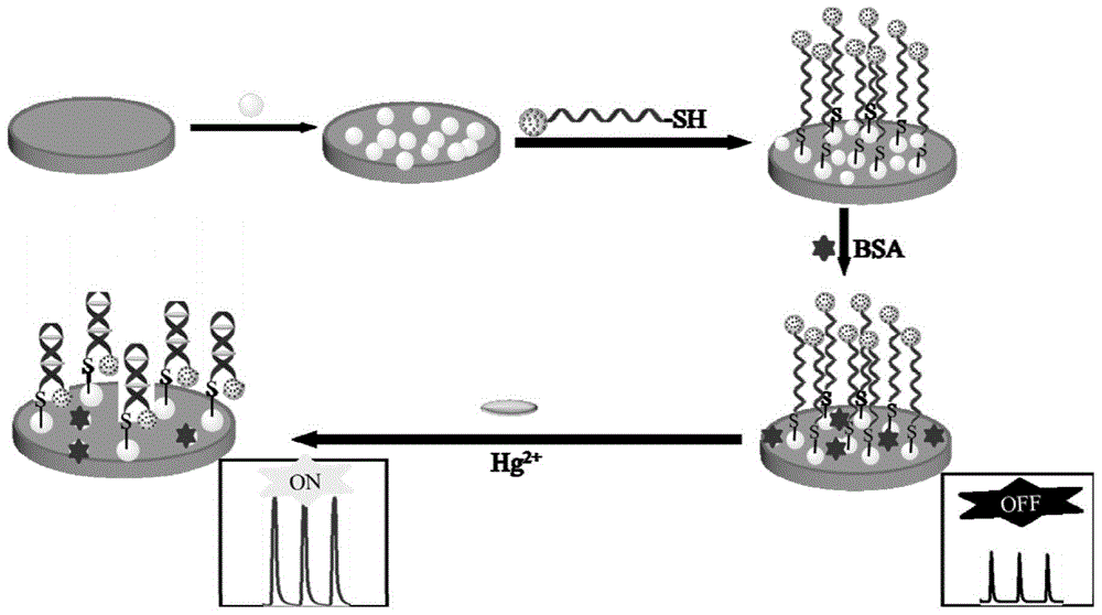 一种检测Hg2+的自增强电化学发光适配体传感器的制备方法与流程
