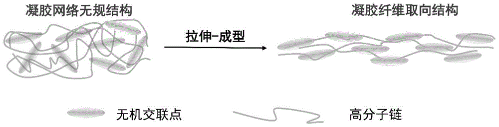 一种连续化制备高强度水凝胶纤维的方法与流程