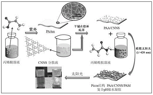 Pizza结构的纳米片氮化碳复合pH敏水凝胶、其制备方法及应用与流程
