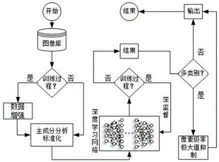 针对病理图像的语义分割方法和电子设备与流程