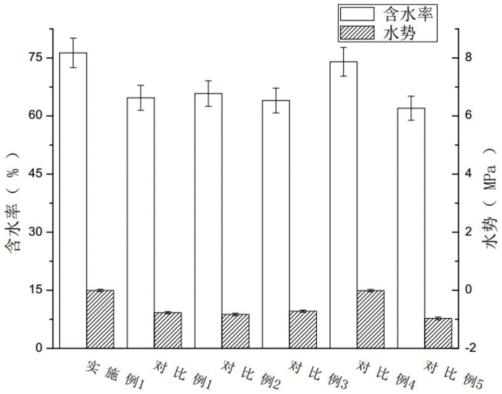 香腮杜鹃的扦插育苗方法与流程