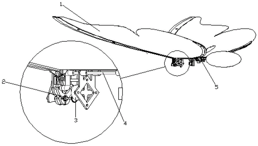 一种仿生蝴蝶扑翼飞行器的制作方法