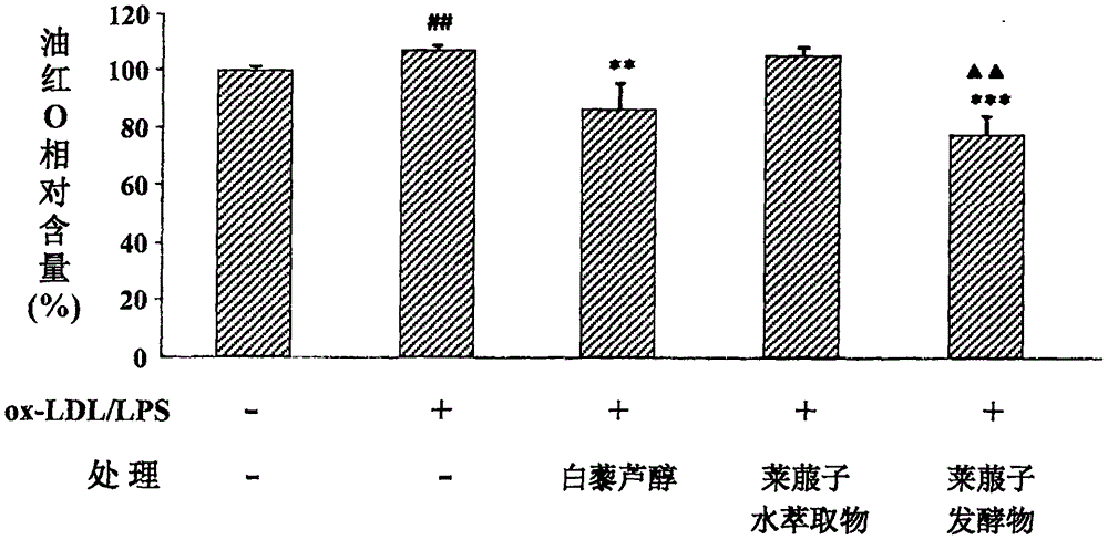 莱菔子发酵物用于制备抑制泡沫细胞形成的组合物的用途的制作方法