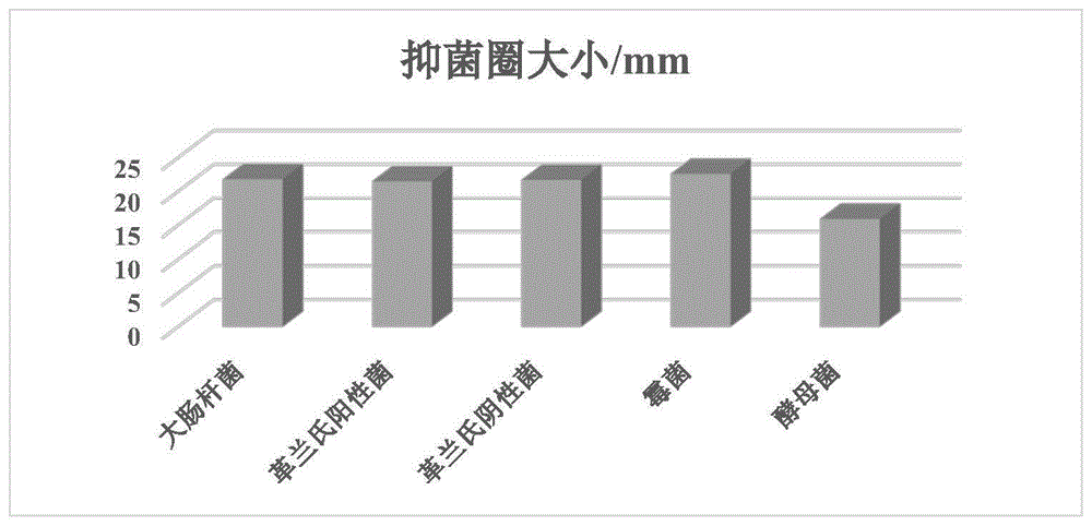 一种粉末涂料用纳米复合抗菌剂的制备方法与流程