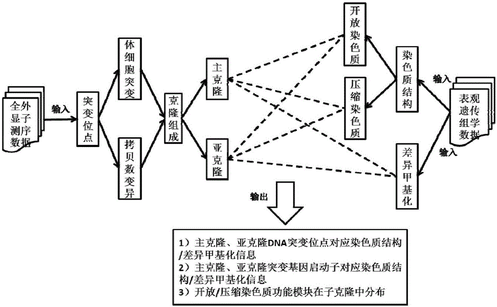 一种整合表观遗传组学的肿瘤克隆组成构建方法及系统与流程