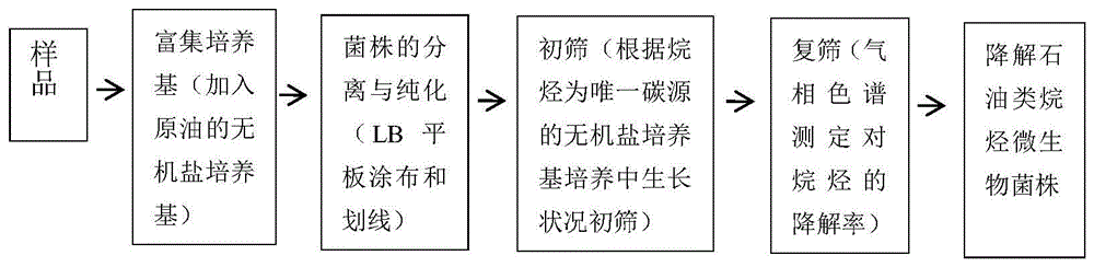 降解长链烷烃的微生物菌及其应用的制作方法