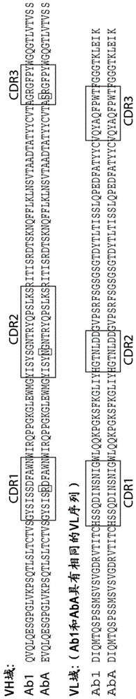 抗-EGFR抗体及抗体药物偶联物的制作方法