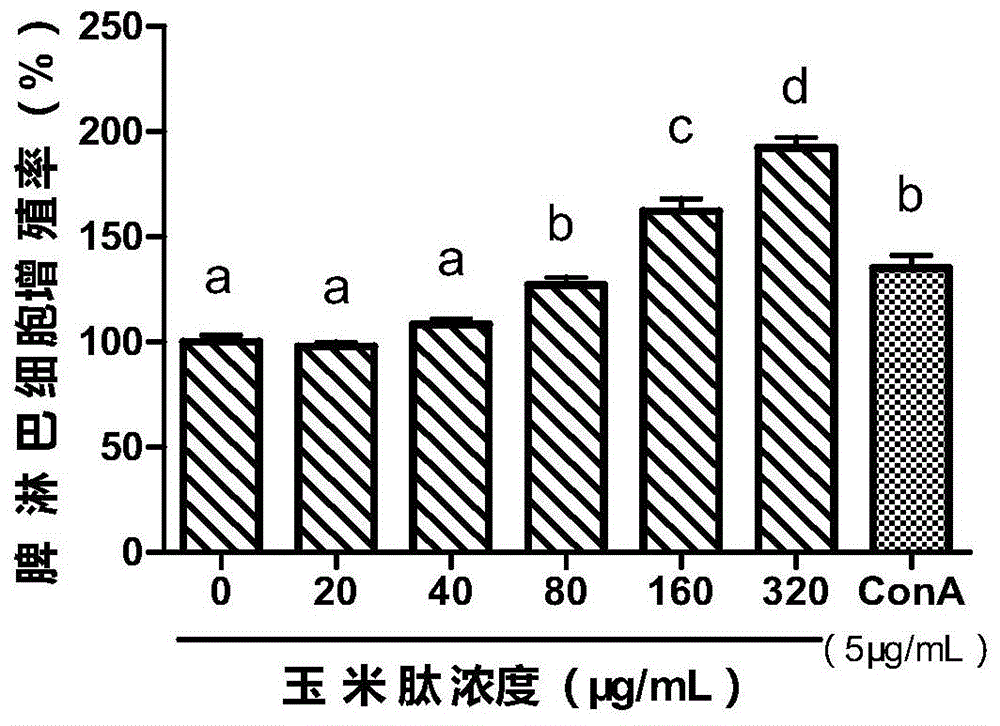 一种以玉米黄粉为原料制备免疫活性肽的方法与流程