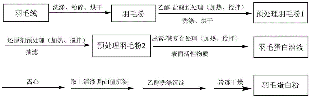 一种具有独立亲水、亲油接枝支链的羽毛蛋白生物基共聚物、制备方法及其应用与流程