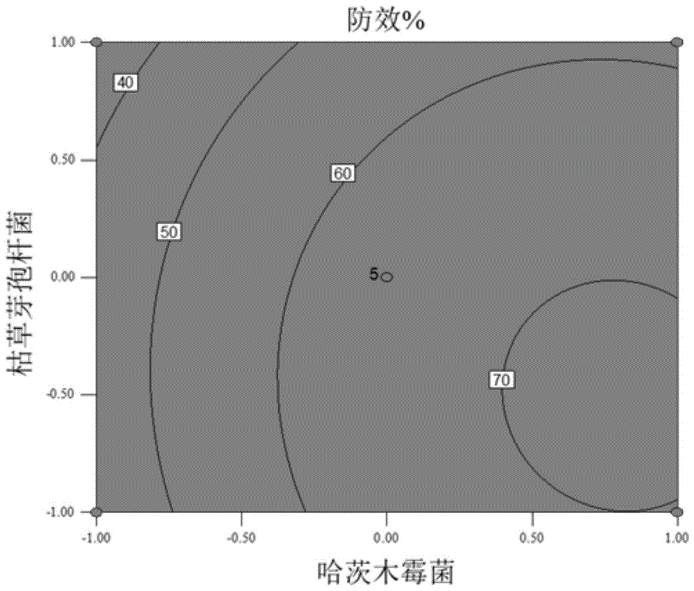 生防复合菌剂及其制备方法与应用与流程