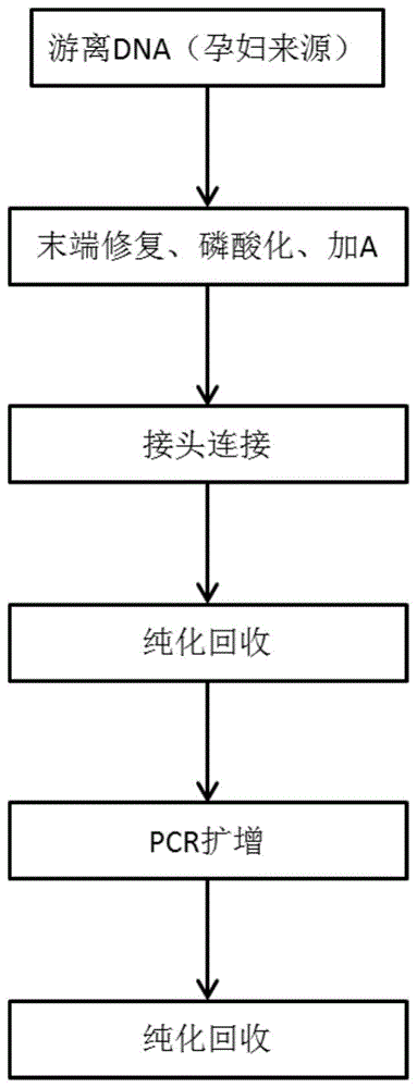 胎儿游离DNA的富集方法与流程