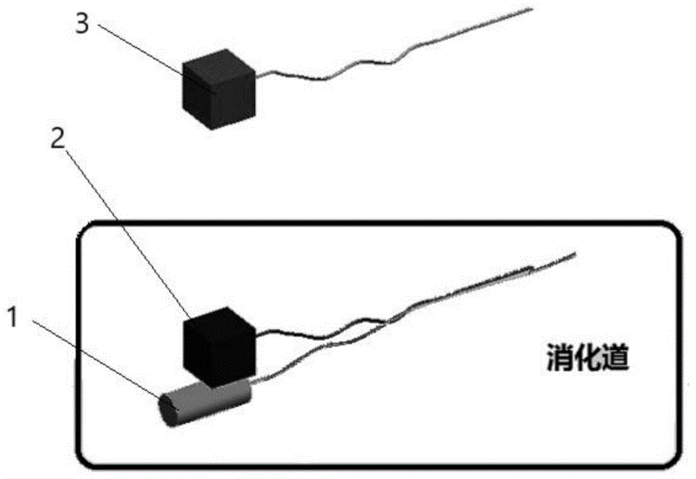 一种对消化道肿瘤磁辅助超声图像的三维重建设备及方法与流程